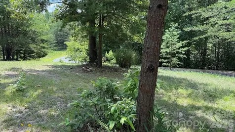 00 Fallen Tree Lane Mill Spring NC 28756
