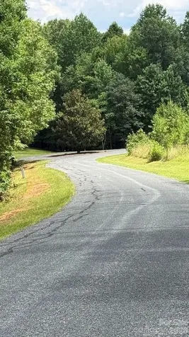 00 Fallen Tree Lane Mill Spring NC 28756