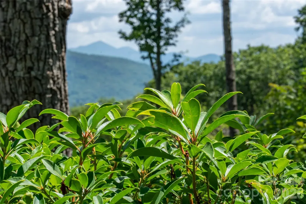 99999 E Garden Trail Fletcher NC 28732