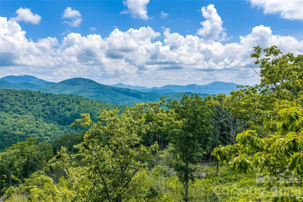 99999 E Garden Trail Fletcher NC 28732