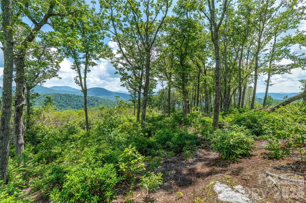 99999 E Garden Trail Fletcher NC 28732