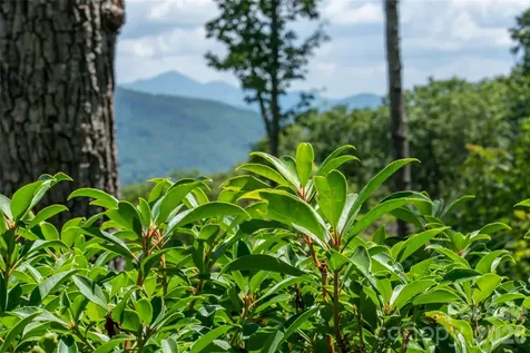 99999 E Garden Trail Fletcher NC 28732