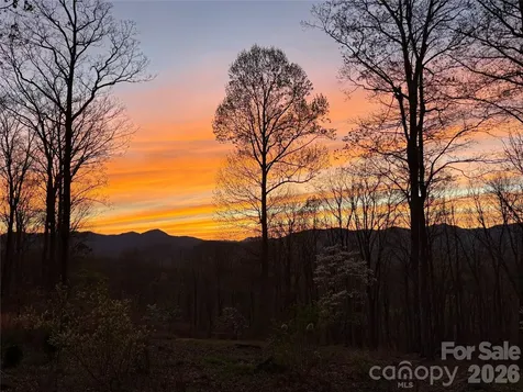 241 Alta Vista Drive Candler NC 28715