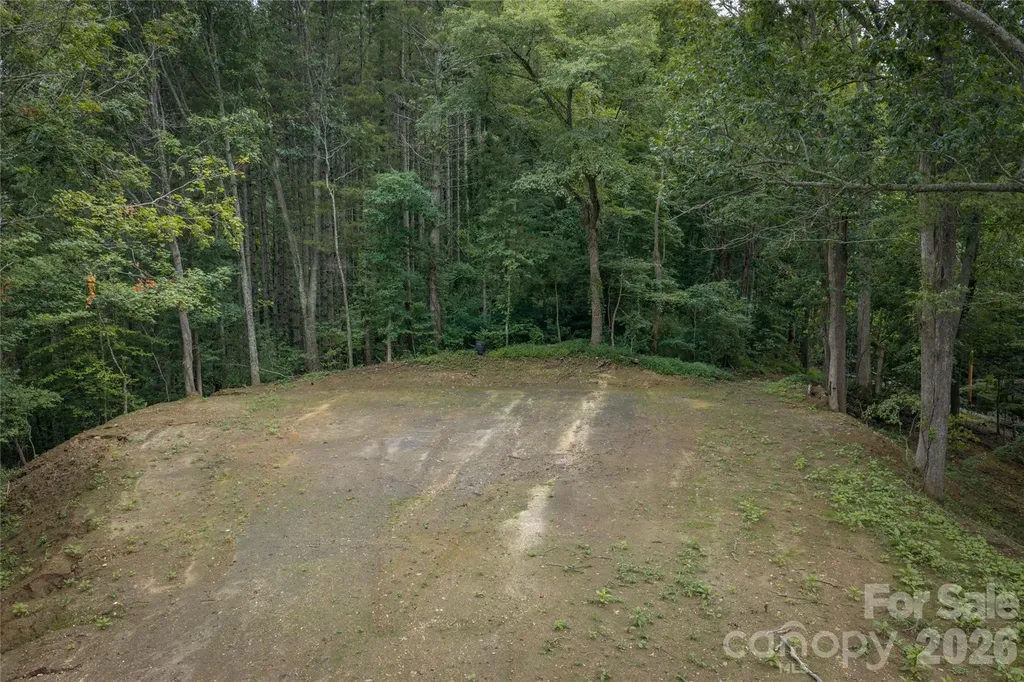 7 Wid Smith Road Burnsville NC 28714