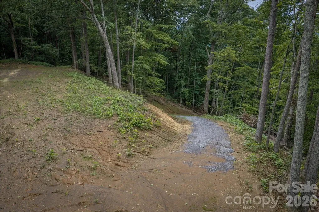 7 Wid Smith Road Burnsville NC 28714