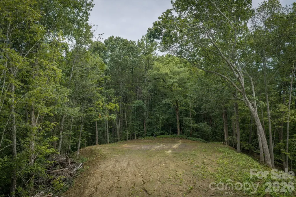 7 Wid Smith Road Burnsville NC 28714