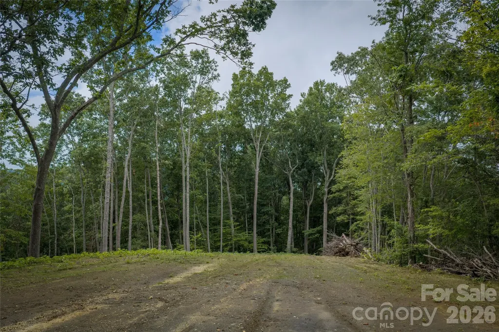 7 Wid Smith Road Burnsville NC 28714
