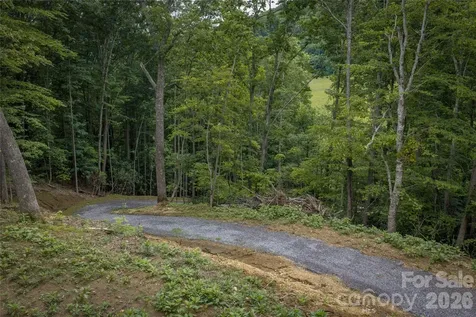7 Wid Smith Road Burnsville NC 28714