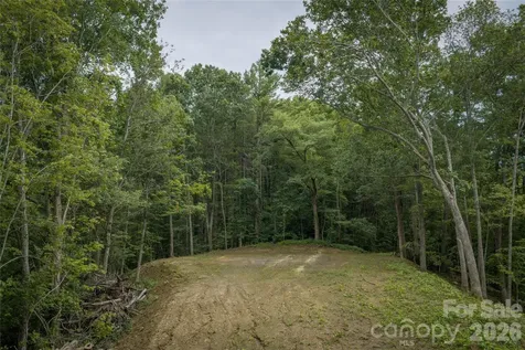 7 Wid Smith Road Burnsville NC 28714