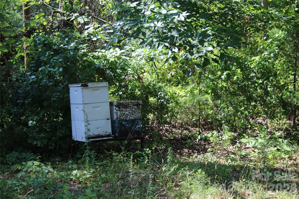 571 Piedmont Road Rutherfordton NC 28139