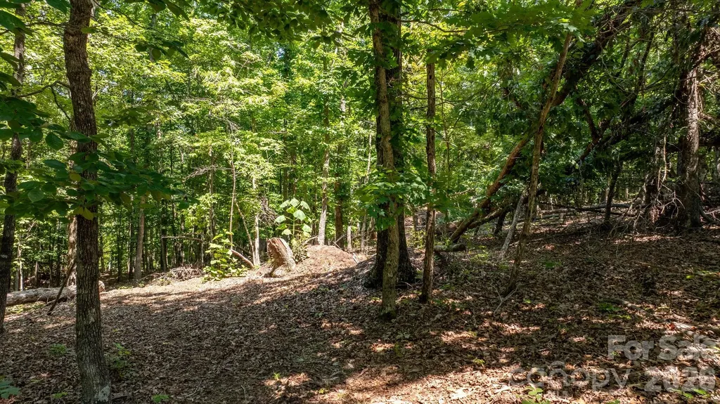 152 Woodgate Trail Nebo NC 28761