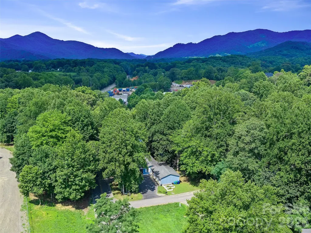 2 Lost Forest Drive Candler NC 28715