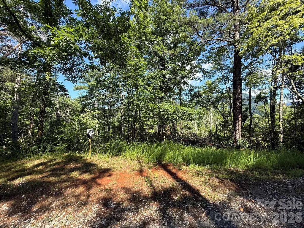 999 Fox Ridge Trail Marion NC 28752