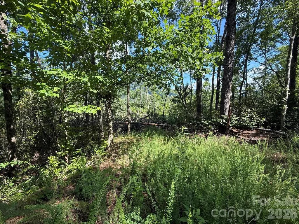 999 Fox Ridge Trail Marion NC 28752