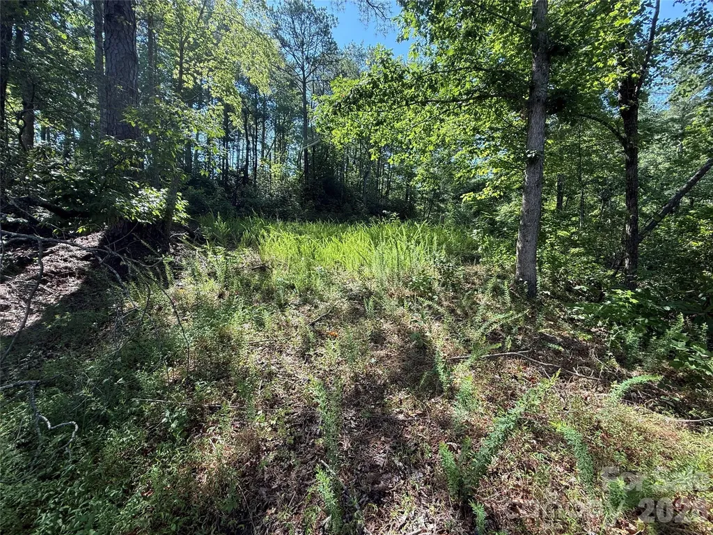 999 Fox Ridge Trail Marion NC 28752