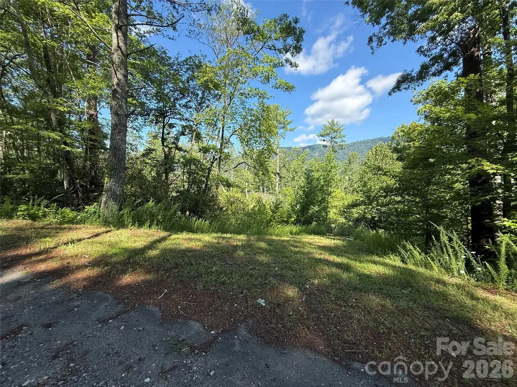 999 Fox Ridge Trail Marion NC 28752