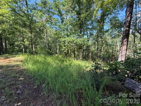 999 Fox Ridge Trail Marion NC 28752