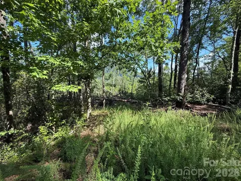 999 Fox Ridge Trail Marion NC 28752