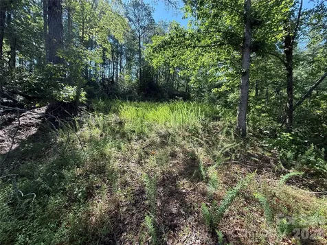 999 Fox Ridge Trail Marion NC 28752