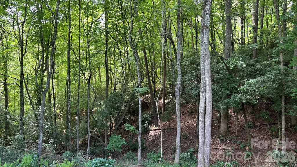 236 Forest Lane Murphy NC 28906