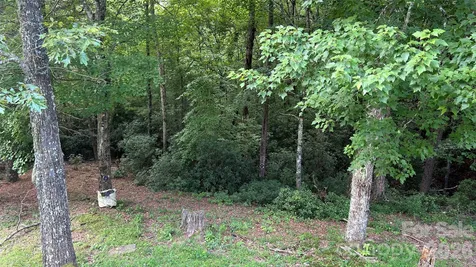 236 Forest Lane Murphy NC 28906
