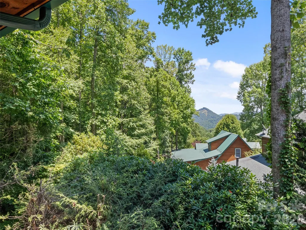 528 Brannon Forest Drive Waynesville NC 28785