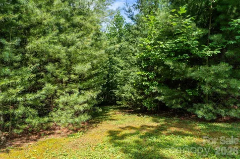 9081 Pittmans Gap Road Newland NC 28657
