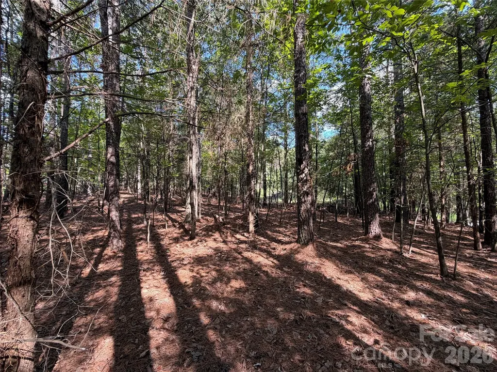 9212 Rustic Creek Trail Waxhaw NC 28173