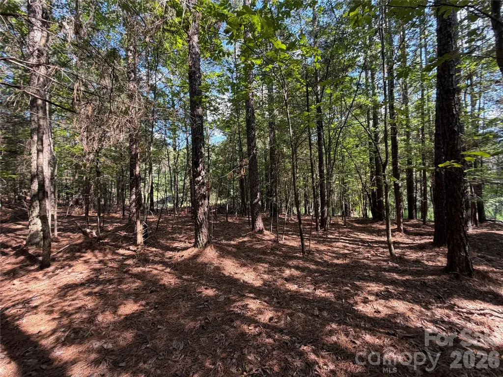 9212 Rustic Creek Trail Waxhaw NC 28173