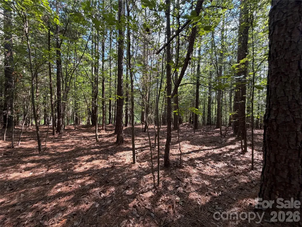9212 Rustic Creek Trail Waxhaw NC 28173