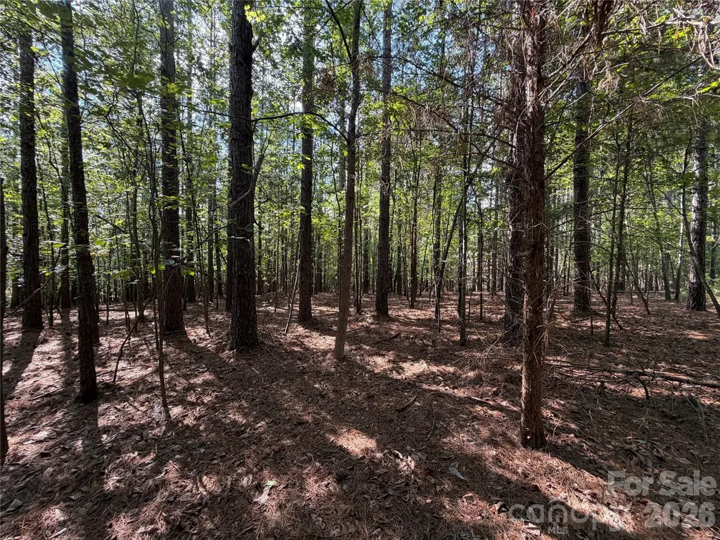 9212 Rustic Creek Trail Waxhaw NC 28173