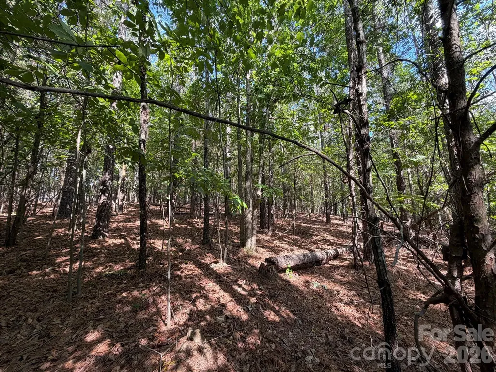 9212 Rustic Creek Trail Waxhaw NC 28173