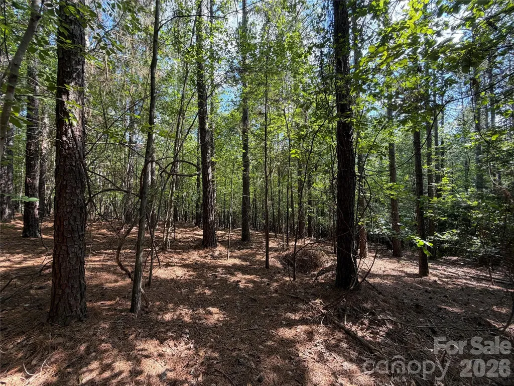 9212 Rustic Creek Trail Waxhaw NC 28173