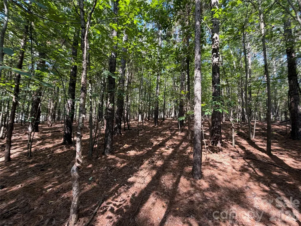 9212 Rustic Creek Trail Waxhaw NC 28173