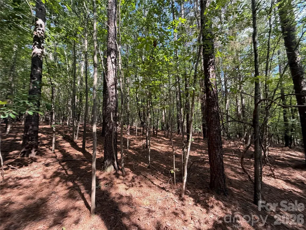9212 Rustic Creek Trail Waxhaw NC 28173