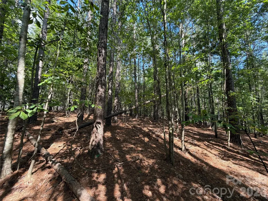 9212 Rustic Creek Trail Waxhaw NC 28173