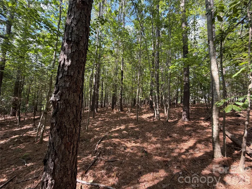 9212 Rustic Creek Trail Waxhaw NC 28173