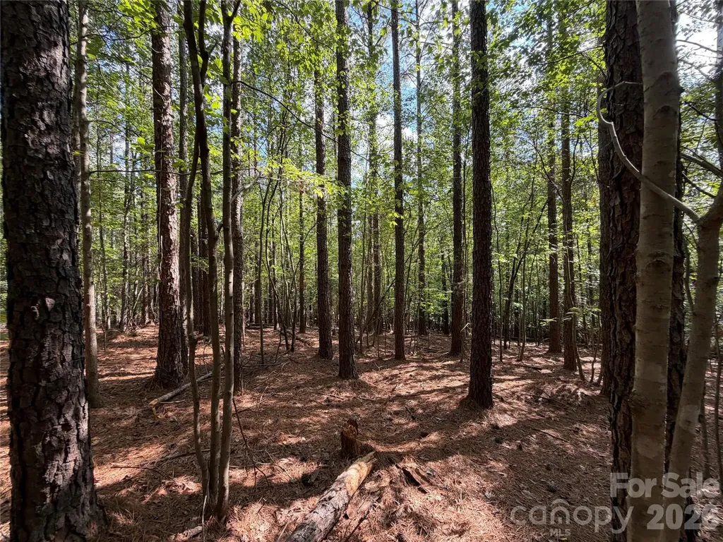 9212 Rustic Creek Trail Waxhaw NC 28173