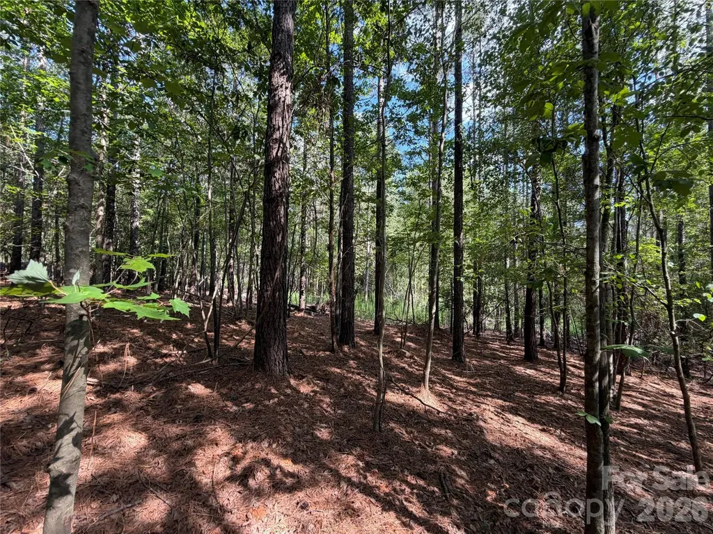 9212 Rustic Creek Trail Waxhaw NC 28173