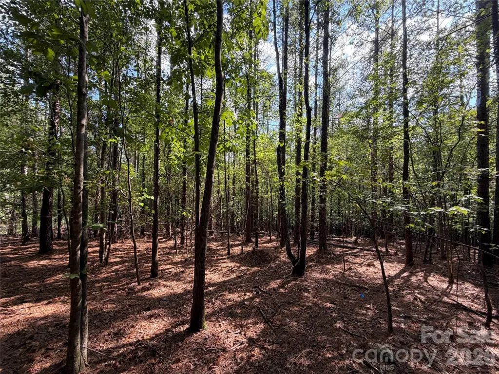 9212 Rustic Creek Trail Waxhaw NC 28173
