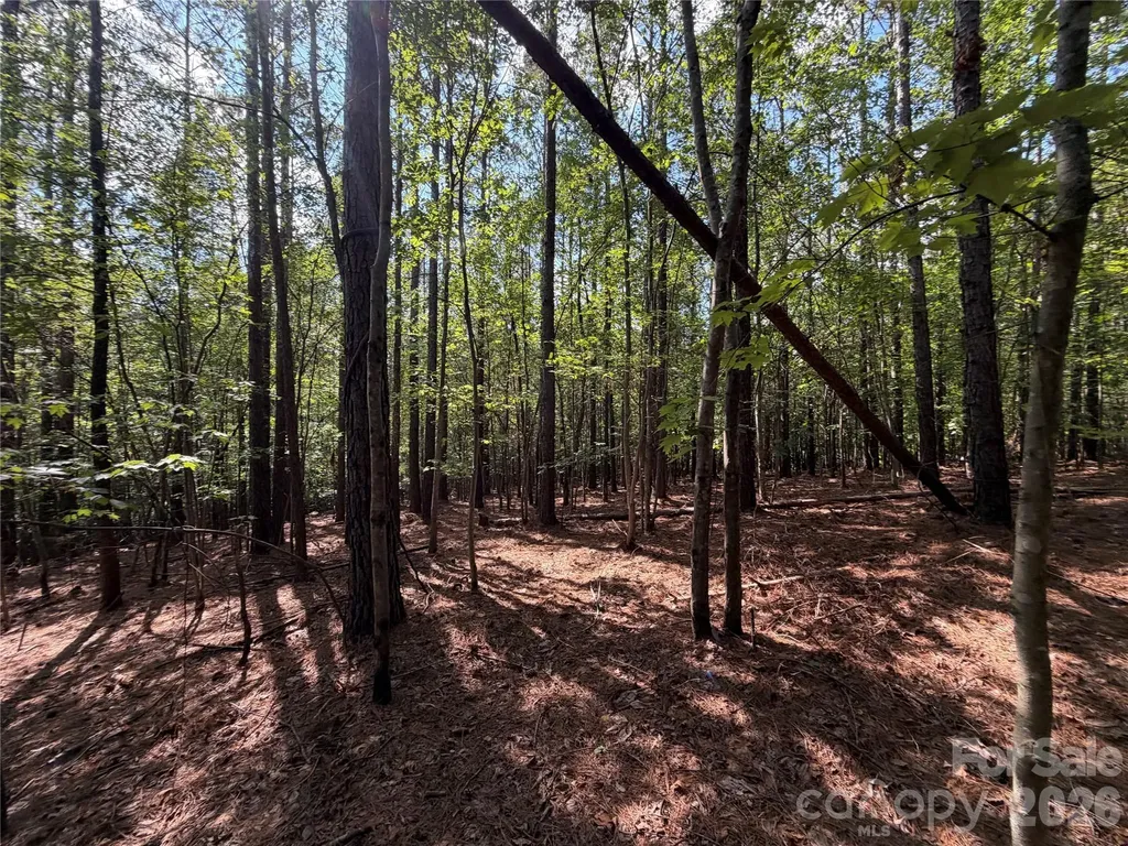 9212 Rustic Creek Trail Waxhaw NC 28173