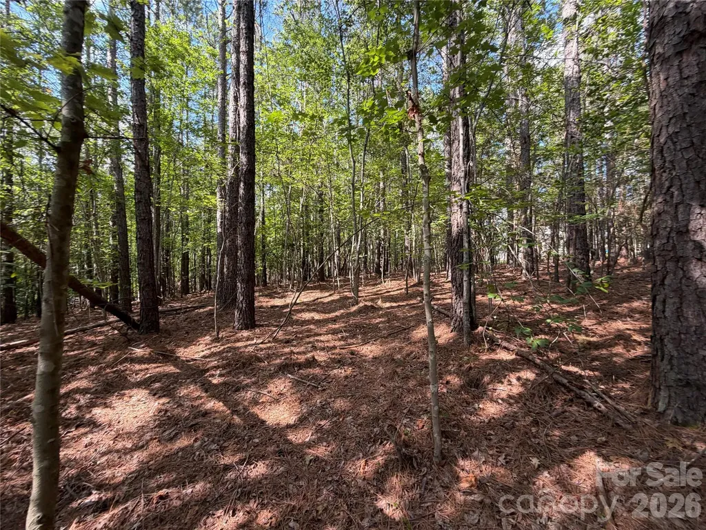 9212 Rustic Creek Trail Waxhaw NC 28173