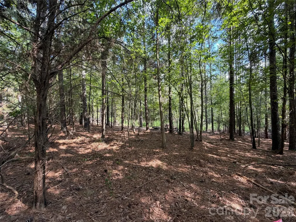 9212 Rustic Creek Trail Waxhaw NC 28173