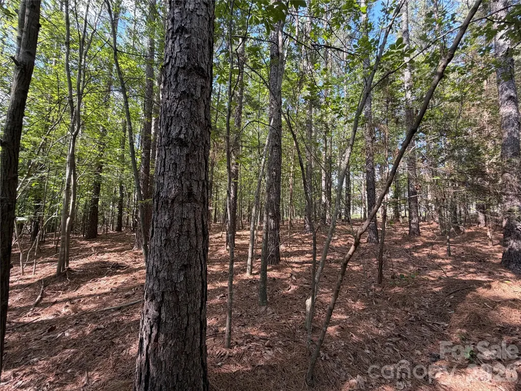 9212 Rustic Creek Trail Waxhaw NC 28173
