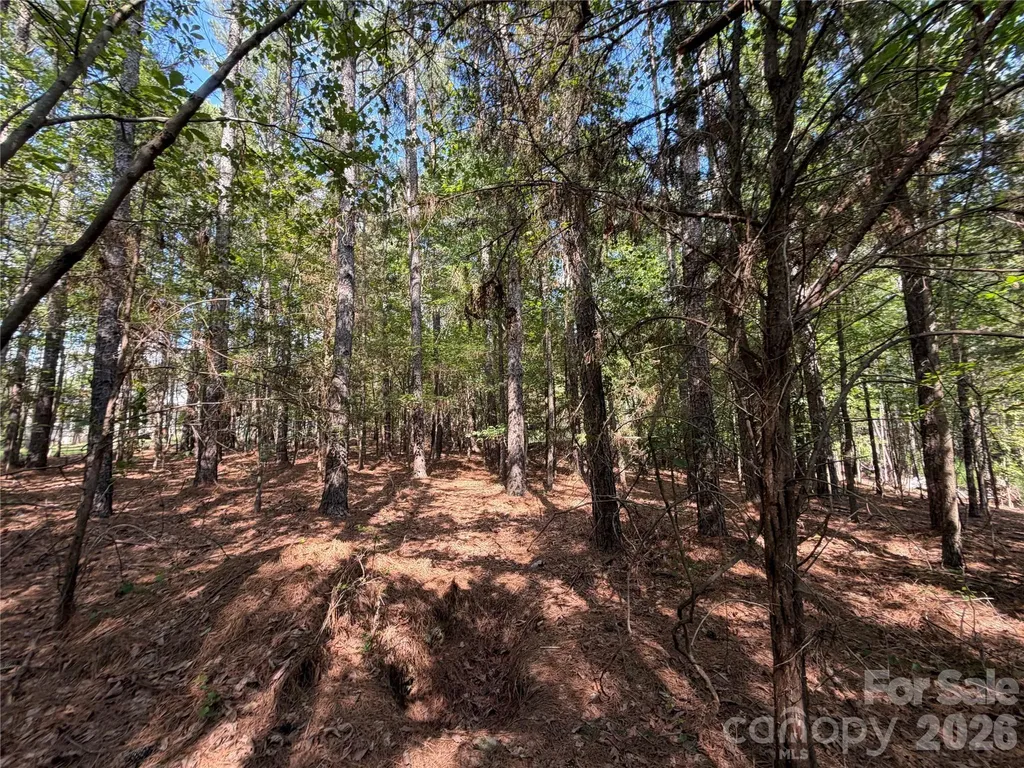 9212 Rustic Creek Trail Waxhaw NC 28173