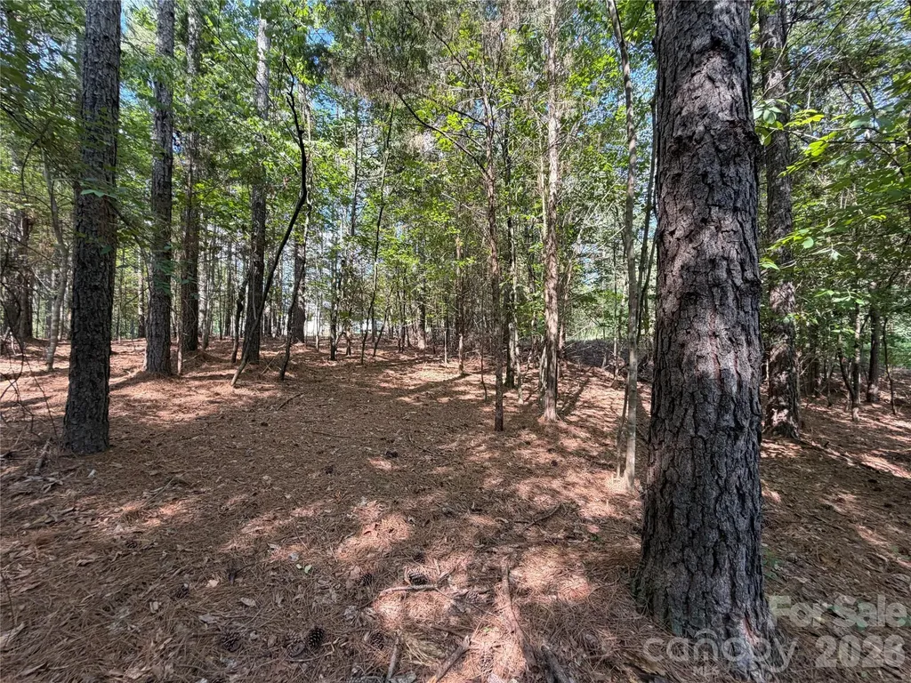 9212 Rustic Creek Trail Waxhaw NC 28173