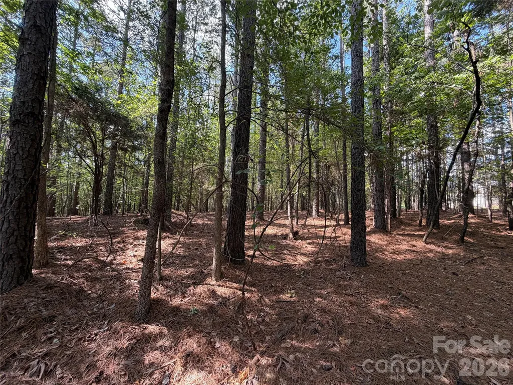 9212 Rustic Creek Trail Waxhaw NC 28173