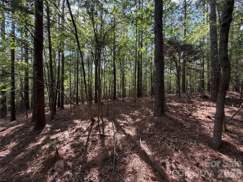9212 Rustic Creek Trail Waxhaw NC 28173