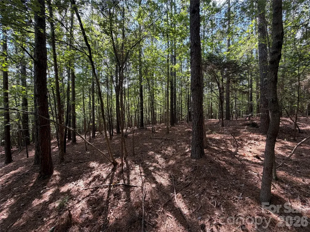 9212 Rustic Creek Trail Waxhaw NC 28173