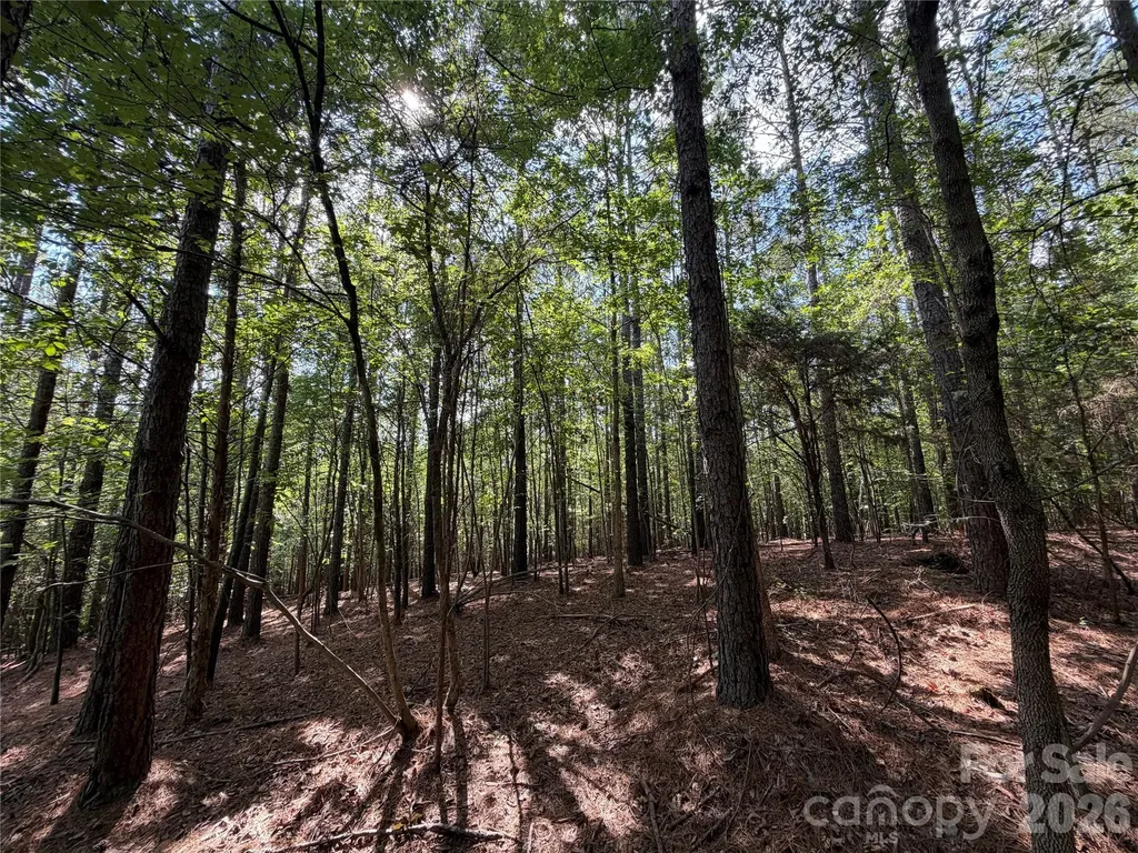 9212 Rustic Creek Trail Waxhaw NC 28173
